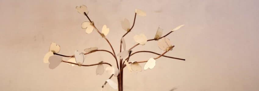 klen ontwerp grafmonument boom