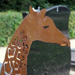 bijzonder babygraf met giraf