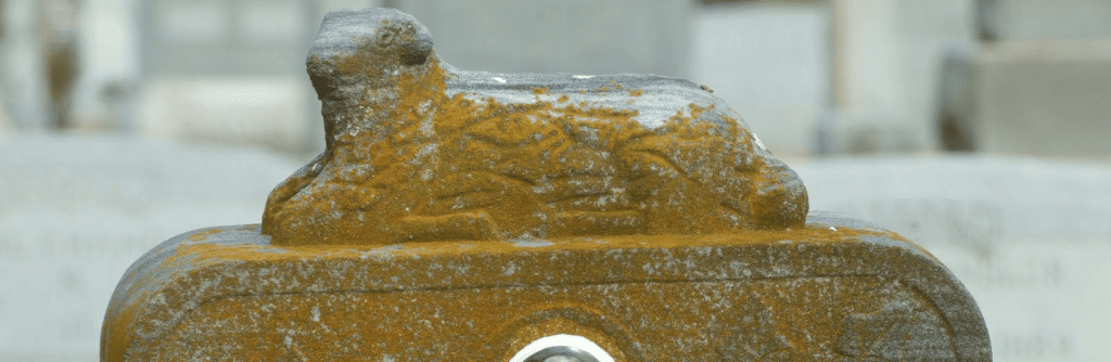 grafsteen schoonmaken