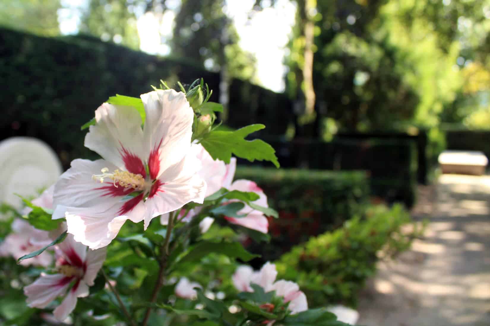 Uw dierbare herdenken? Dit zijn de mogelijkheden