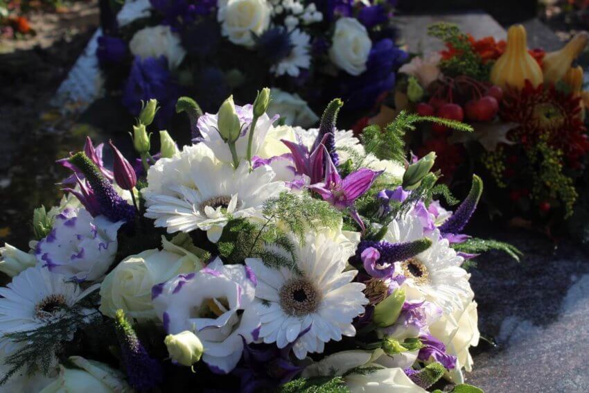 “Dichters van Dienst LIVE”