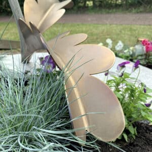 detail babygraf bladeren