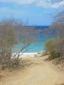 foto voor op glazen grafsteen