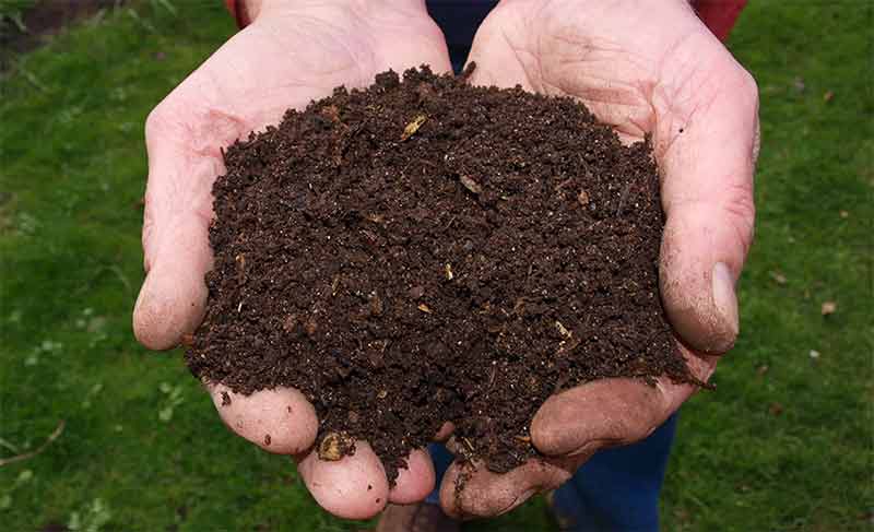 Veraarden: het natuurlijke alternatief voor begraven Veraarden: het natuurlijke alternatief voor begraven
