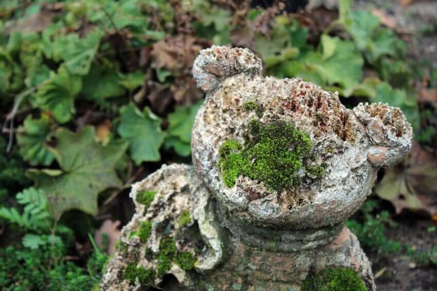 Gedichten en boeken over verlies van een kind