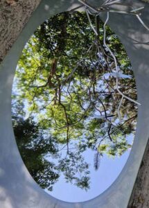 Helder spiegelend RVS