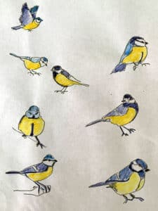 schets vogeltjes meesjes