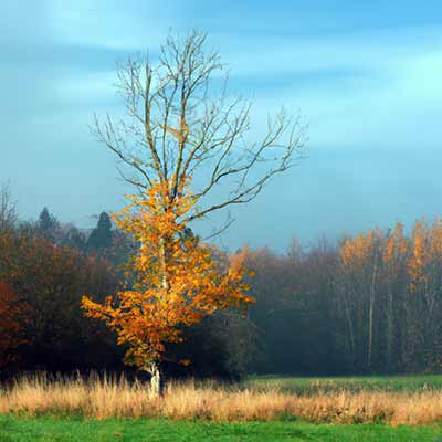 Omgaan met Vermissingen: 6 Tips bij Rouw en Onzekerheid Omgaan met Vermissingen: 6 Tips bij Rouw en Onzekerheid